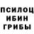 Галлюциногенные грибы Cubensis Jorr Bloodtusk