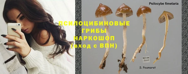 амфетамин Богородск