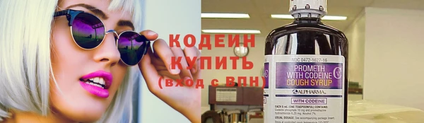 дживик Богородицк