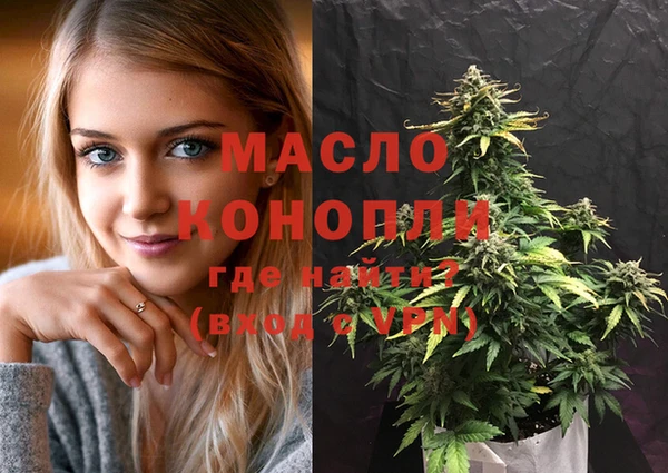 дживик Богородицк