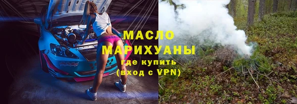 дживик Богородицк