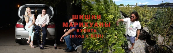 винт Белокуриха