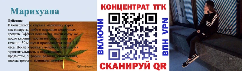 Купить где  Северская  ТГК концентрат 