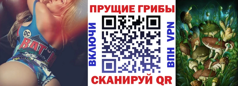 Галлюциногенные грибы мухоморы Купить где Северская